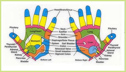 hand-flexology